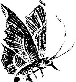 清代（上）版畫(huà) 裝飾畫(huà) 中華圖案五千年 矢量 AI格式_0472