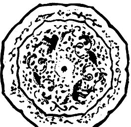 兩宋時(shí)代 版畫 裝飾畫 矢量 AI格式_1057