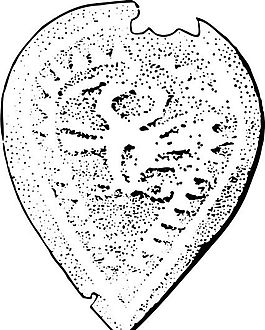 魏晉南北朝 版畫(huà) 裝飾畫(huà) 矢量 AI格式_0381