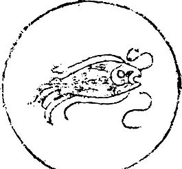 秦漢時(shí)代 版畫(huà) 裝飾畫(huà) 矢量 AI格式_1082