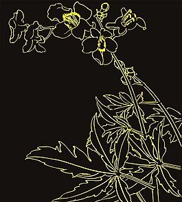白描線條花紋-07 矢量CDR