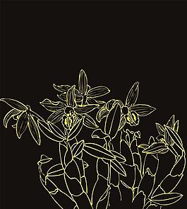 白描線條花紋-06 矢量CDR