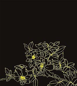白描线条花纹-01 矢量CDR