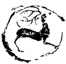 拓印圖案