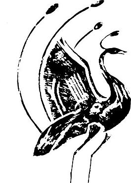 鳳凰 鳳紋圖案 鳥類裝飾圖案 矢量素材 CDR格式_0083
