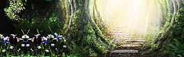 夢幻森林背景