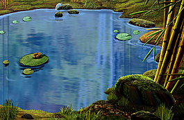 風(fēng)景