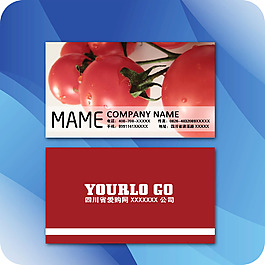 企業(yè)名片模板239