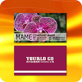 企業(yè)名片模板159