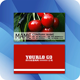 企業(yè)名片模板217