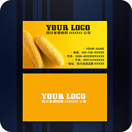 企業(yè)名片模板116