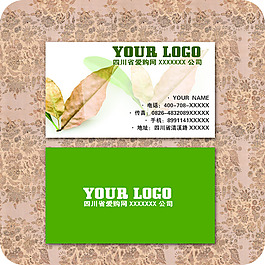 企業(yè)名片模板076