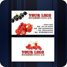 企業(yè)名片模板115