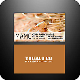 企業(yè)名片模板149