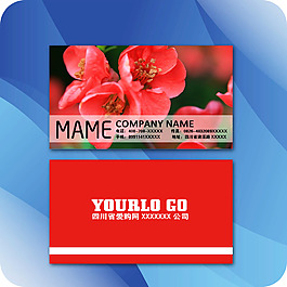 企業(yè)名片模板228