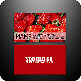 企業(yè)名片模板145