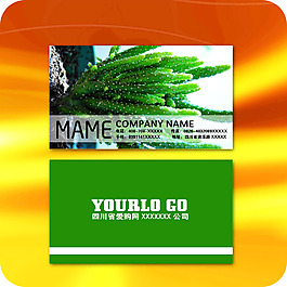 企業(yè)名片模板164