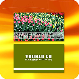 企業(yè)名片模板163