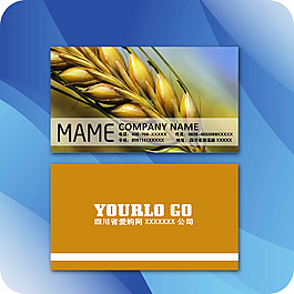 企業(yè)名片模板024