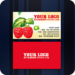 企業(yè)名片模板121