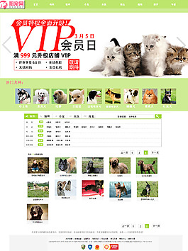 寵物網(wǎng)站網(wǎng)頁效果圖