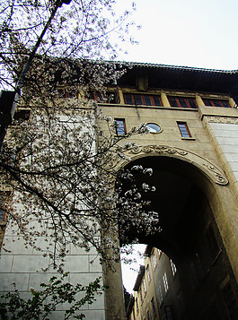 武汉大学 樱花节图片