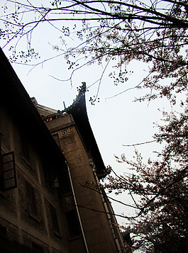 武汉大学图片
