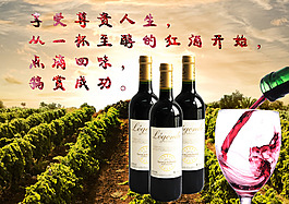 海報(bào)紅酒