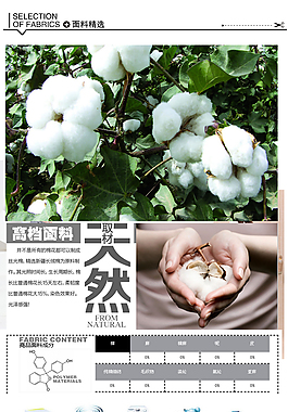 衣服尺寸詳情