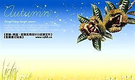 平面素材模板 分層素材 PSD_0040