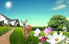 清新自然平面設計分層模板