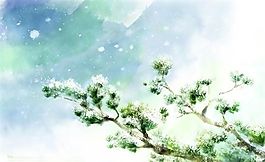 花卉圖案