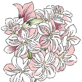 花卉圖案