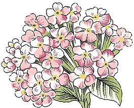 花卉圖案