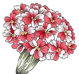 花卉圖案