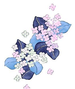 花卉圖案