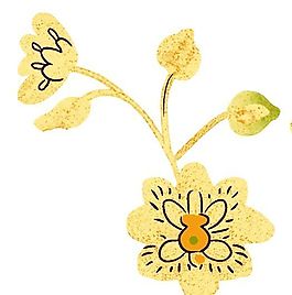 花卉圖案