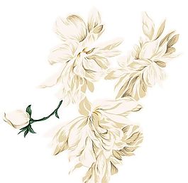 花卉圖案