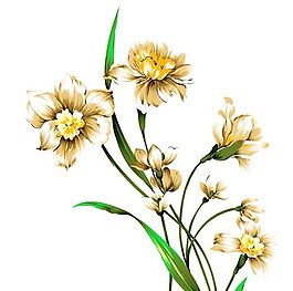 花卉圖案