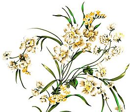 花卉圖案