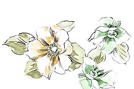 彩绘花草 韩式花纹 PSD_0896