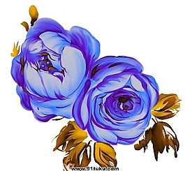 彩绘花草 韩式花纹 PSD_0862