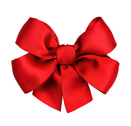 紅色蝴蝶結(jié)