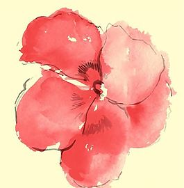 彩繪花草 韓式花紋 PSD_0662