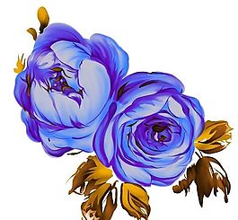 彩繪花草 分層素材 psd_0381