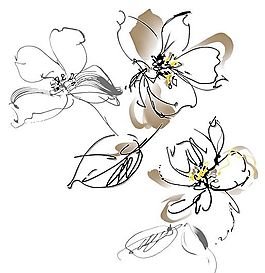 線條花紋 分層素材 psd_0048