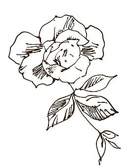 線條花紋 分層素材 psd_0040