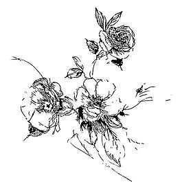 線條花紋 分層素材 psd_0037