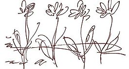線條花紋 分層素材 psd_0003