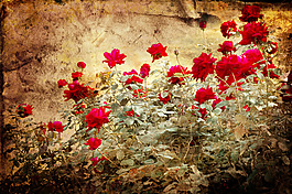 復(fù)古鮮花背景